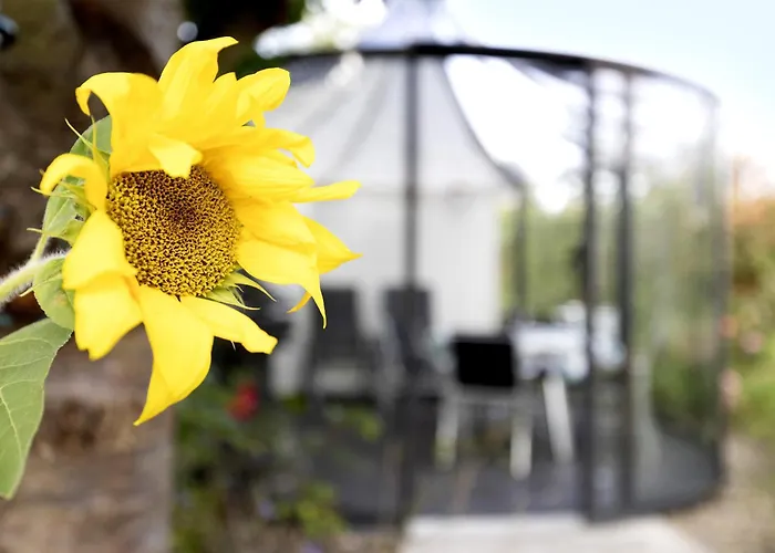 Julia's Appartamento